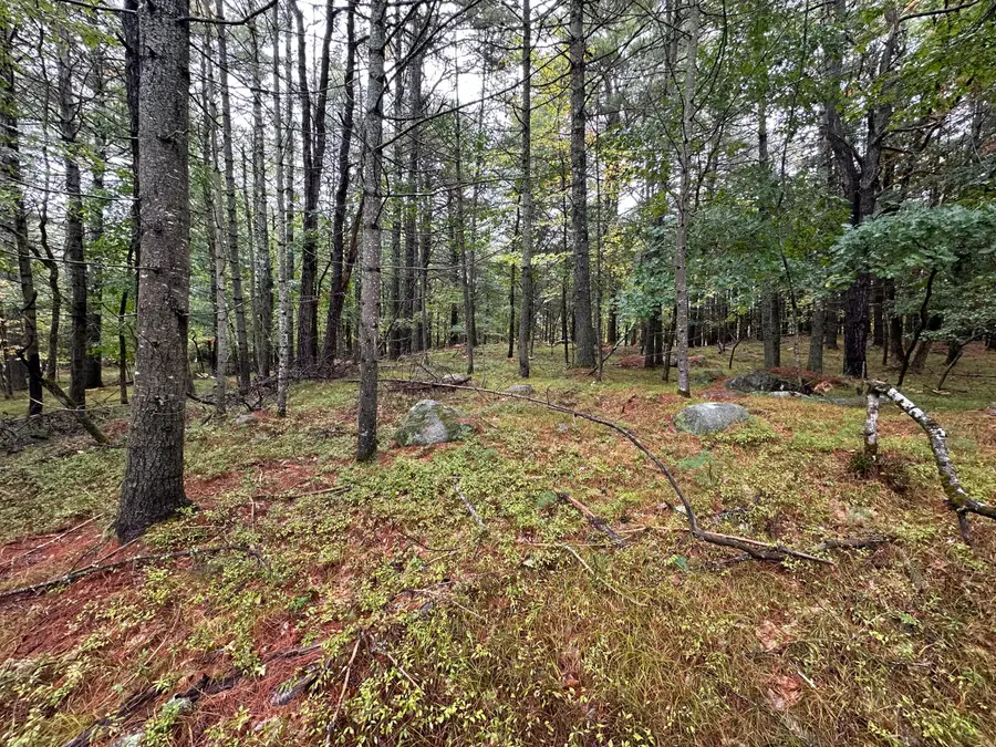 Lot 61.3 Sand Pond Road, Limington, ME 04049 - #3