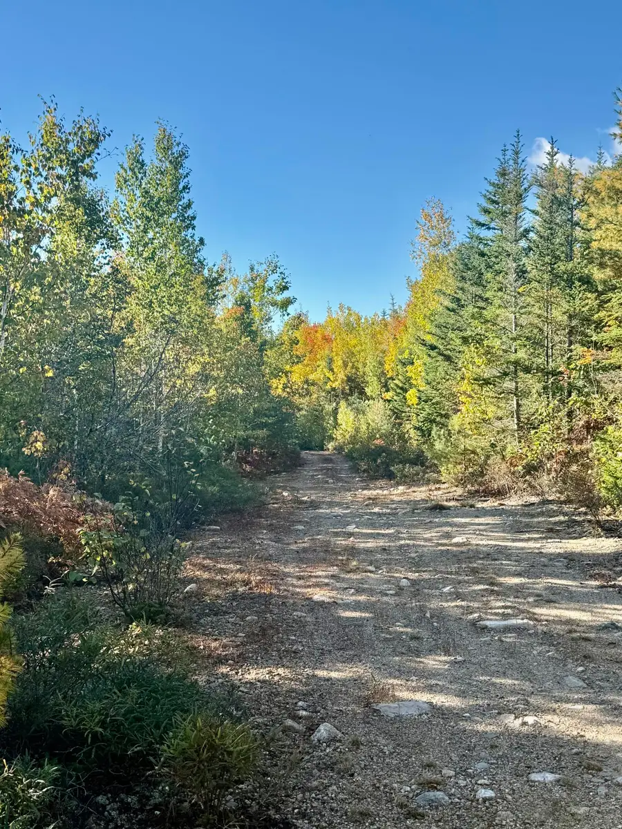 Lot 4 Number 7 Road, Steuben, ME 04680 - #2