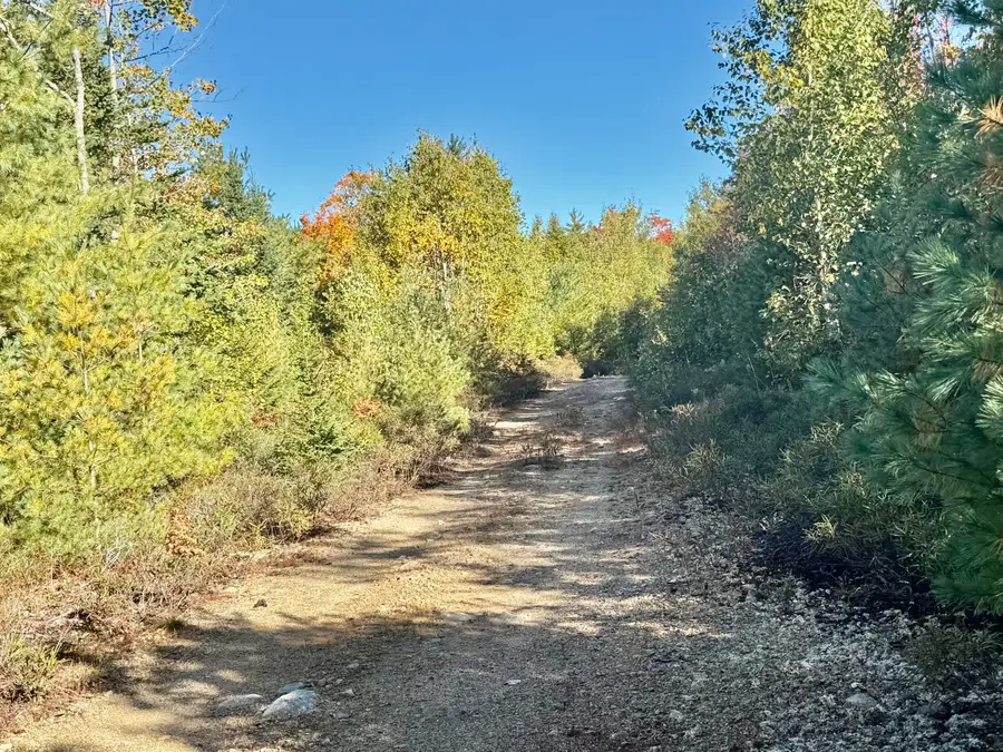 Lot 4 Number 7 Road, Steuben, ME 04680 - #3