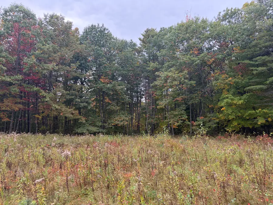 Lot 13-B2 S Town Farm Road, Oxford, ME 04270 - #3