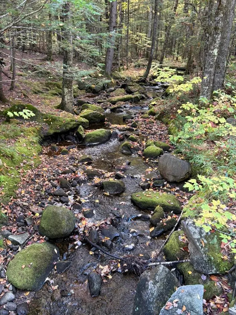 M4L6 Drinkuth Lane, Mexico, ME 04276 - #3