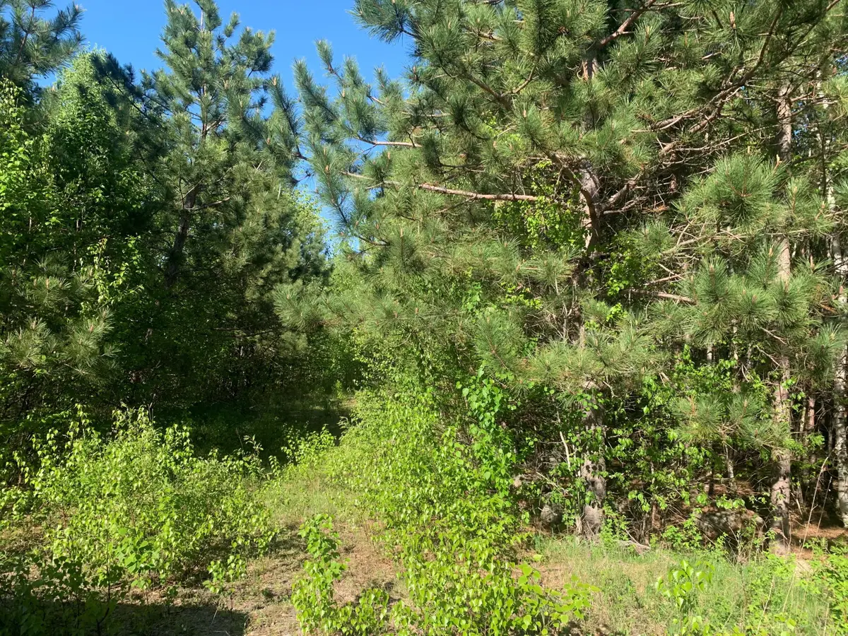 Lot 24 Grand View Drive, Dedham, ME 04429 - #1