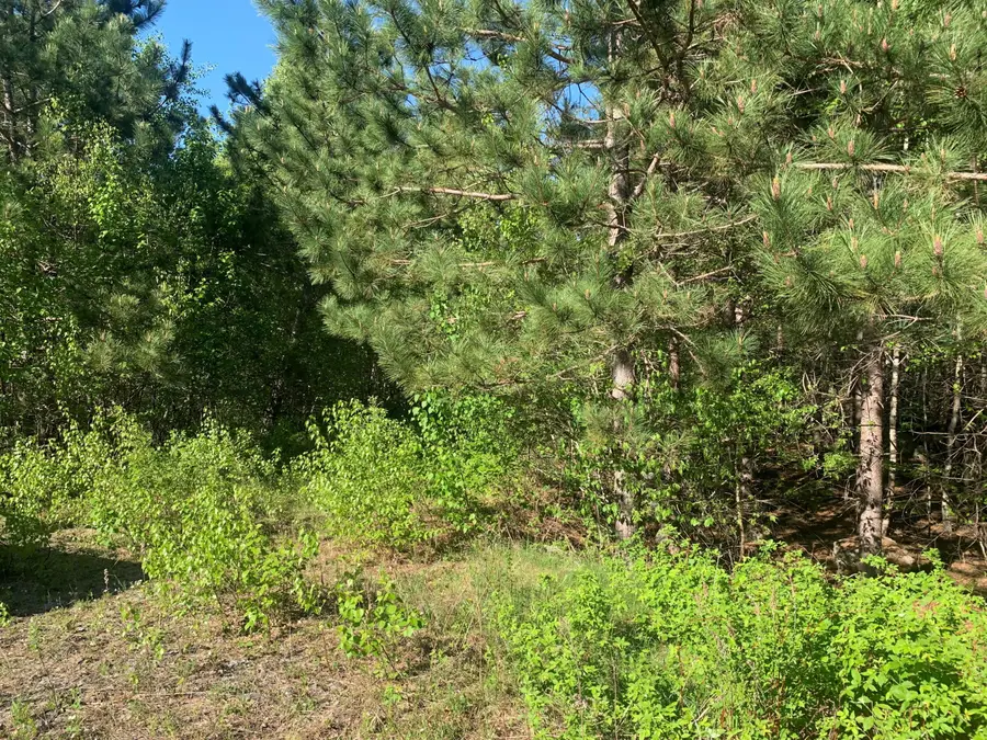 Lot 24 Grand View Drive, Dedham, ME 04429 - #2