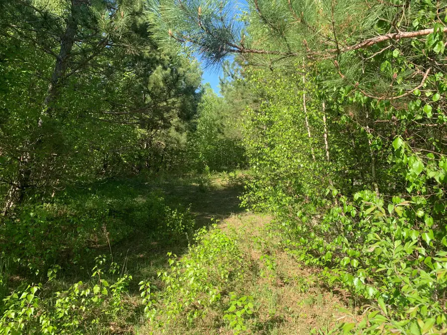 Lot 24 Grand View Drive, Dedham, ME 04429 - #3
