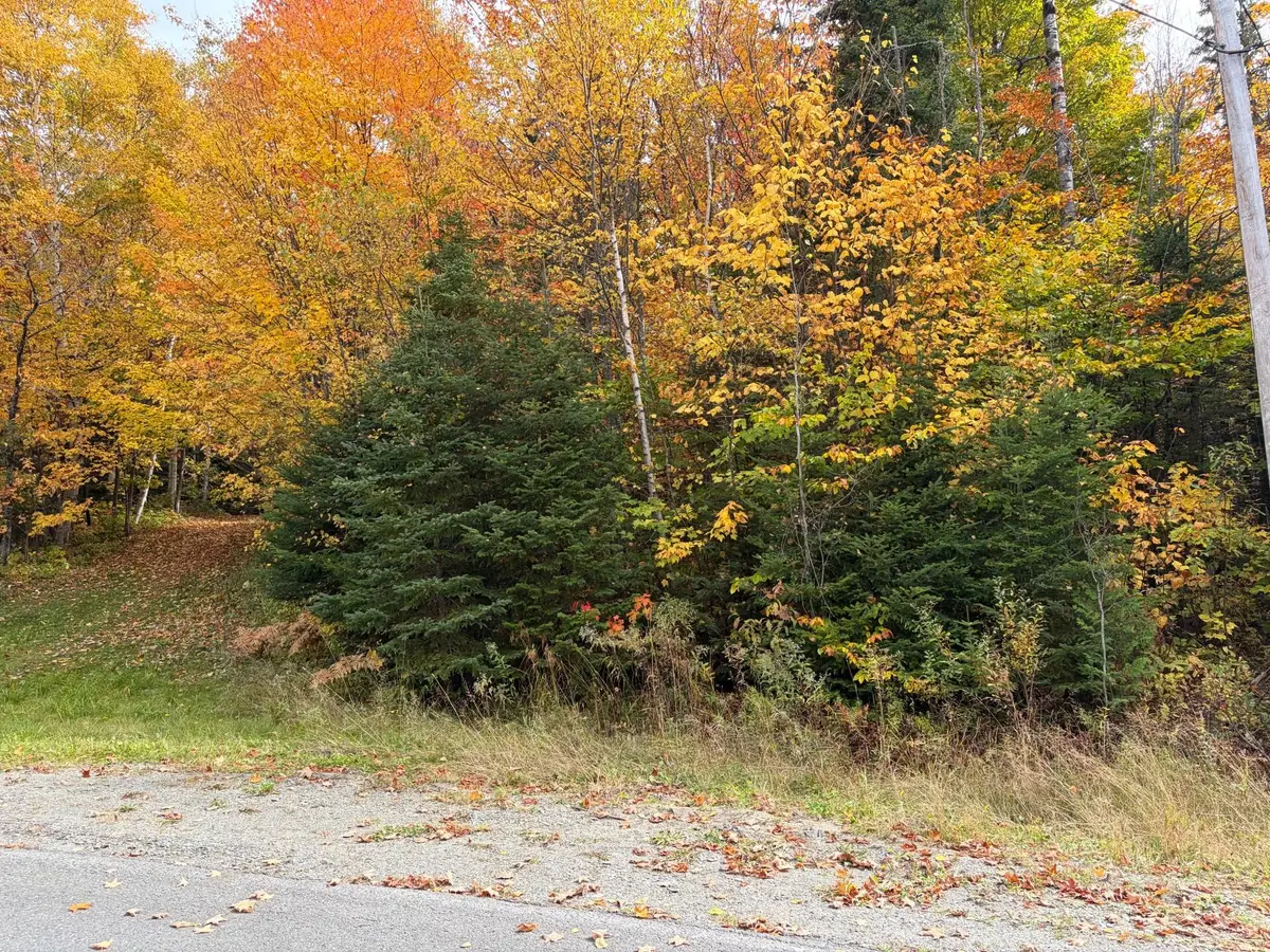 161 3rd Avenue, Fort Kent, ME 04743 - #1