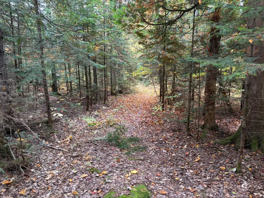 161 3rd Avenue, Fort Kent, ME 04743 - #3
