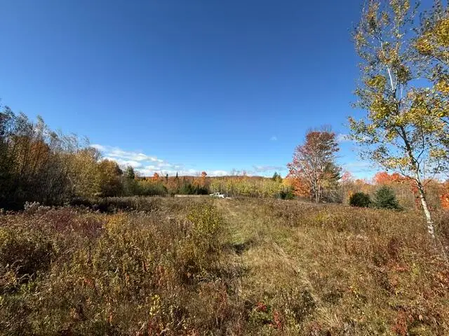 1556 Springfield Road, Danforth, ME 04424 - #1