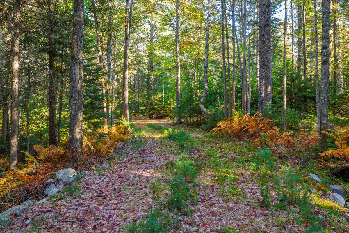 Map 17  Bear Springs Lane, Surry, ME 04684 - #1