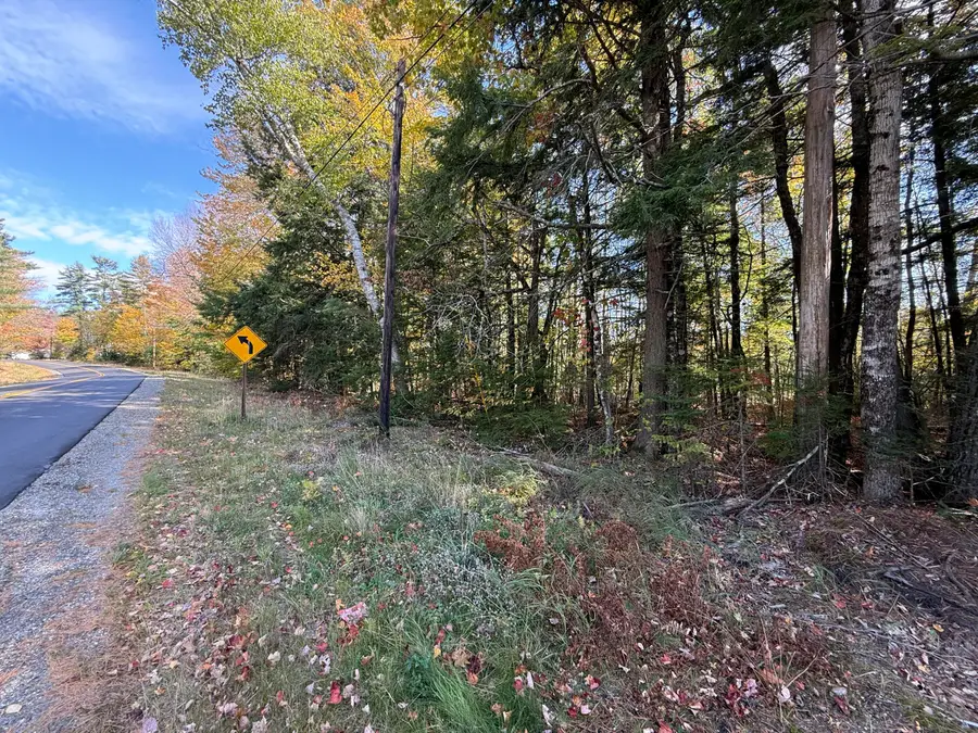 M47L5-1-1 Trues Pond Road, Montville, ME 04941 - #3