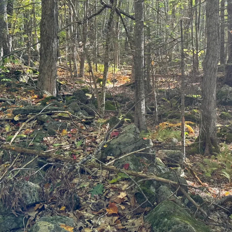266 Mountain Road, Washington, ME 04574 - #3