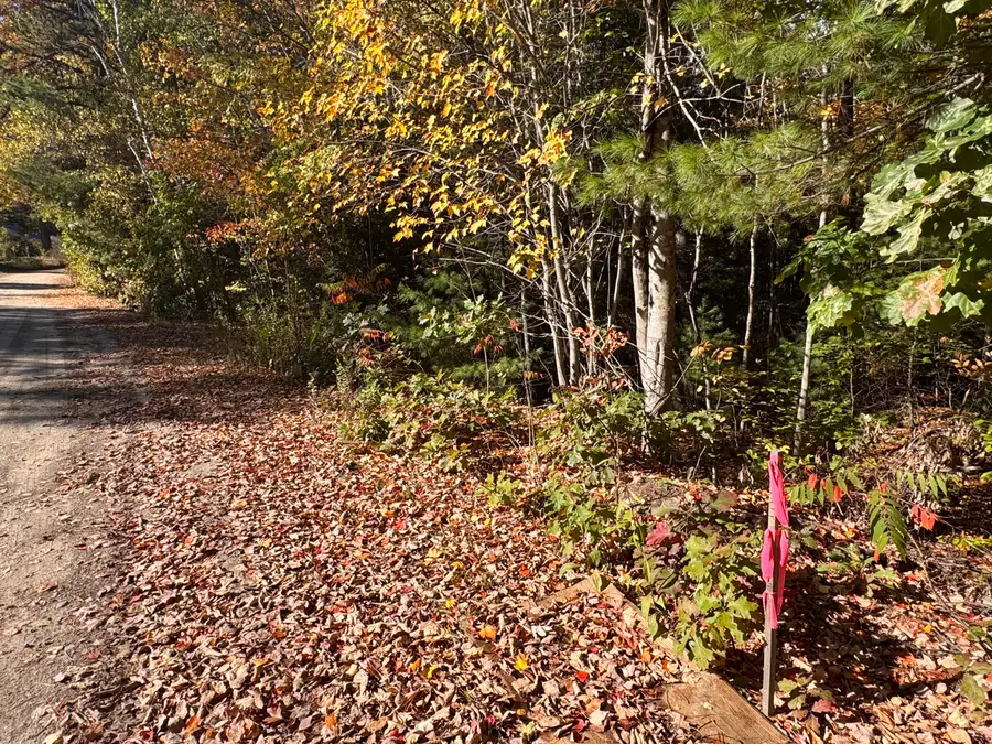 Lot 1 Shaw Brook Lane, Gray, ME 04039 - #3