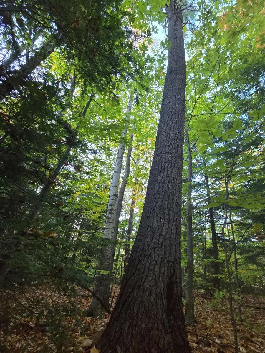 Lot 42 Summit Drive, Canton, ME 04221 - #2