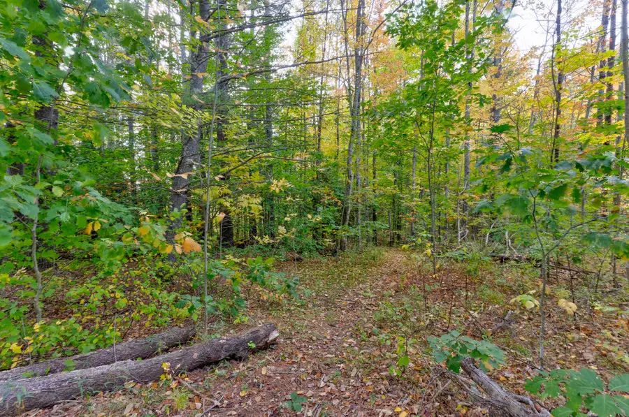 45-28 Fairview Avenue, Gray, ME 04039 - #2