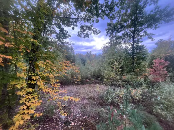 LOT 41 Turtle Trail, Alfred, ME 04002