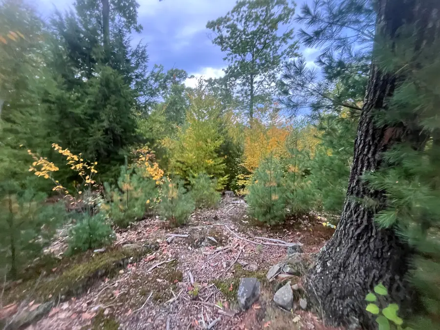 LOT 41 Turtle Trail, Alfred, ME 04002 - #2