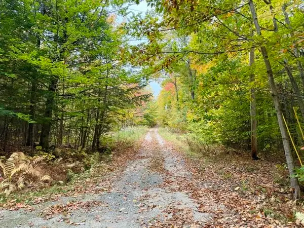 20 Kittridge Brook Road, West Paris, ME 04289