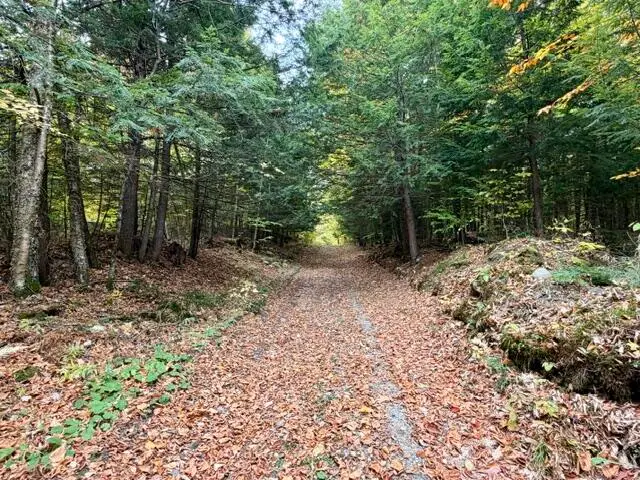 20 Kittridge Brook Road, West Paris, ME 04289 - #2