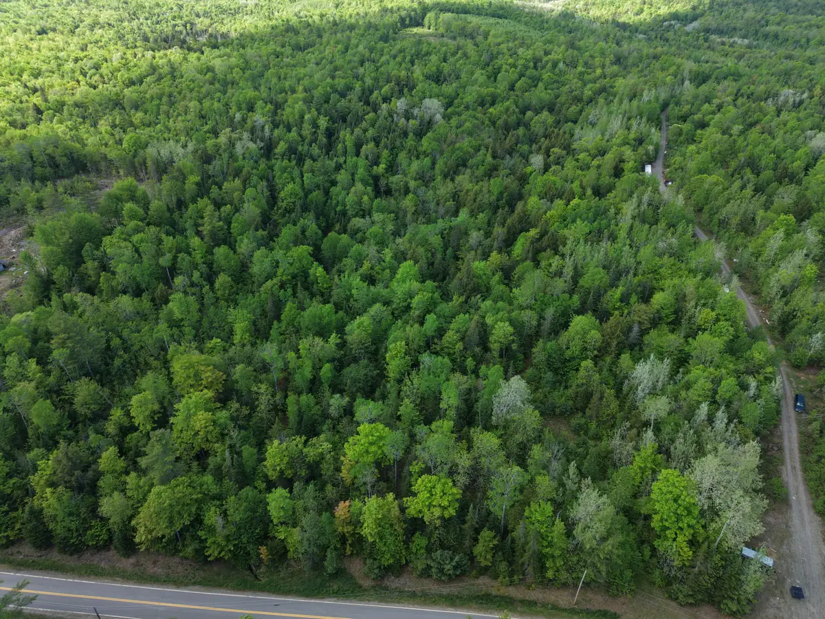 Map5Lot3-4 Parkman Road, Wellington, ME 04942 - #1