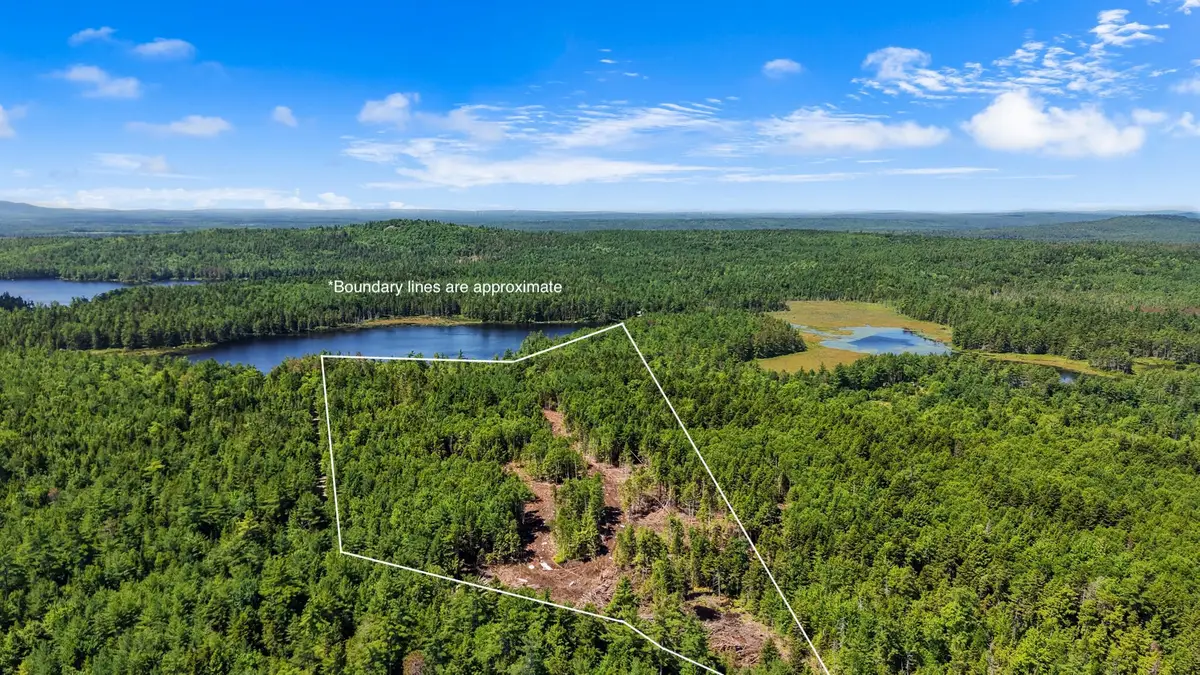 M9L45 NE Ne Bluff Lane, Beddington, ME 04622 - #1