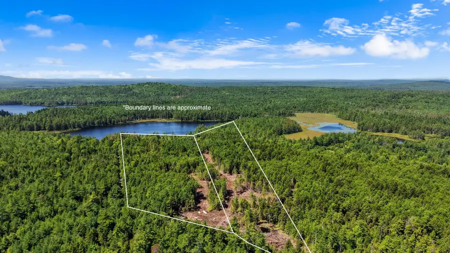 M9L45 NE Ne Bluff Lane, Beddington, ME 04622 - #2
