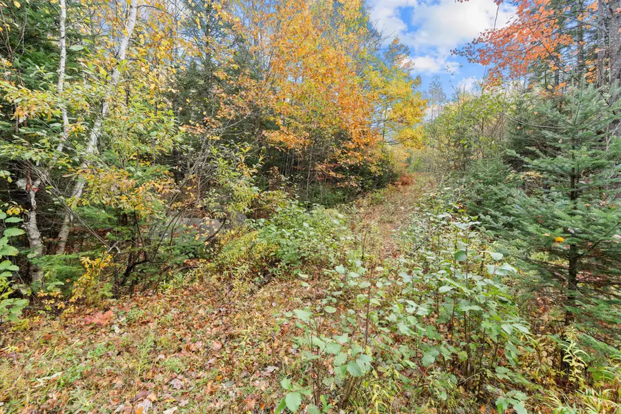 Lot #41-02 Forest Brook Drive, Abbot, ME 04406 - #2