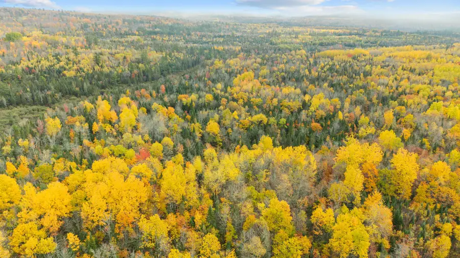 Lot #41-02 Forest Brook Drive, Abbot, ME 04406 - #3