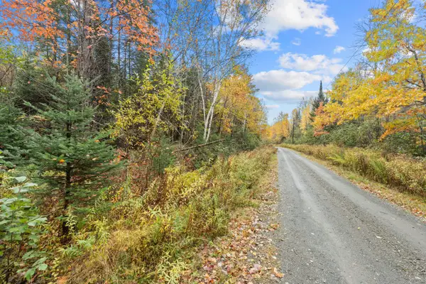 Lot #41-03 Forest Brook Drive, Abbot, ME 04406