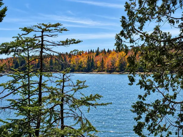Lot 20-15 Collins Cove Road, Machiasport, ME 04655