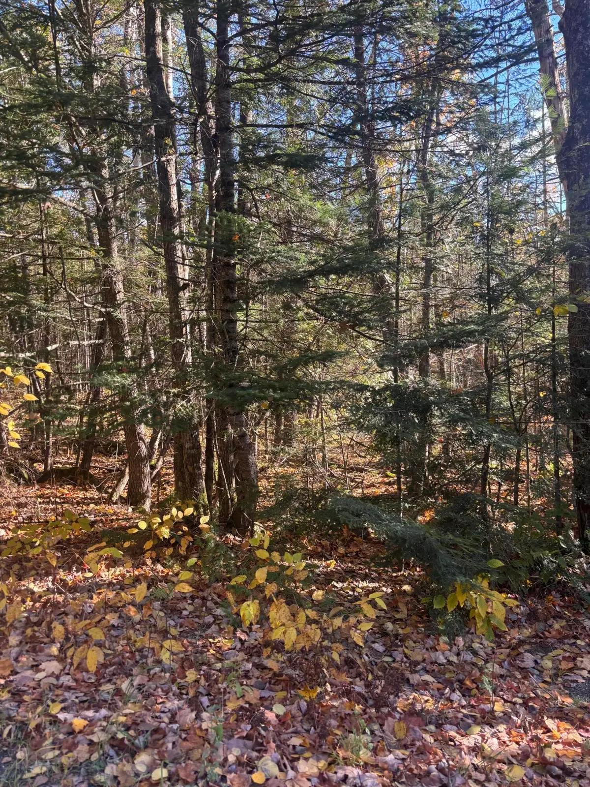 74-1 Wharff Road #Lot 74-1, Guilford, ME 04443 - #1