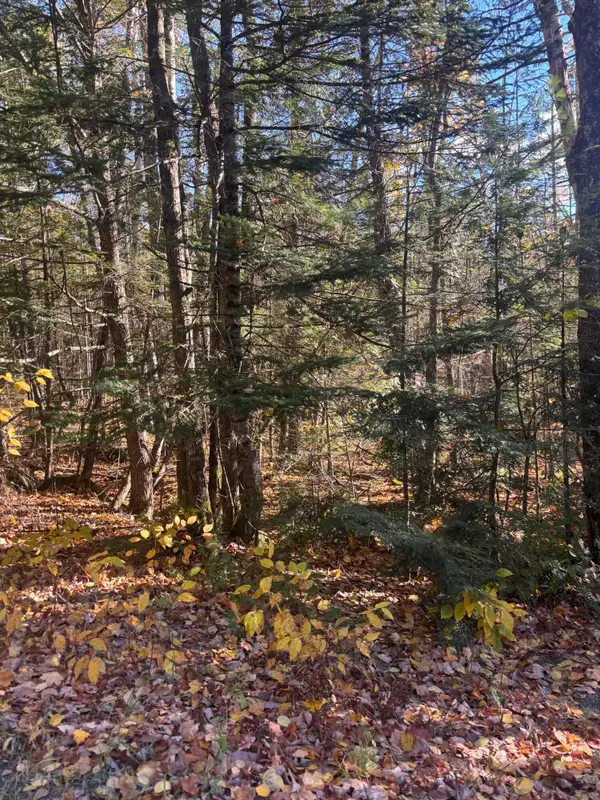 74-1 Wharff Road #Lot 74-1, Guilford, ME 04443