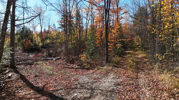 Lot 1 Old County Road, Woodville, ME 04457