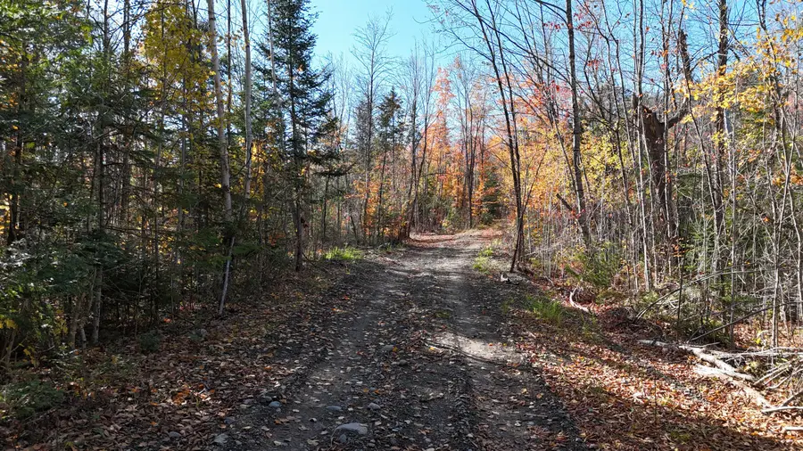 Lot 1 Old County Road, Woodville, ME 04457 - #2