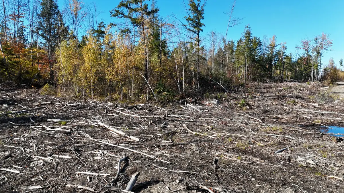 Lot 4 Long Pine Road, Woodville, ME 04457 - #1