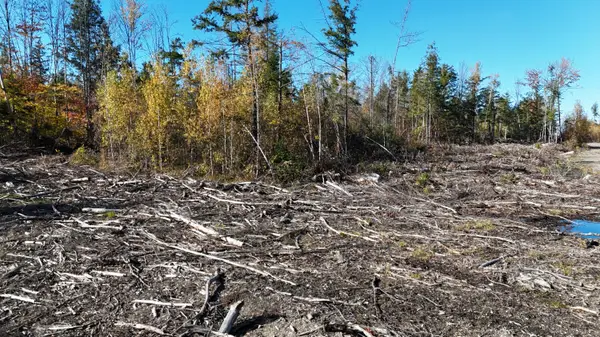 Lot 4 Long Pine Road, Woodville, ME 04457