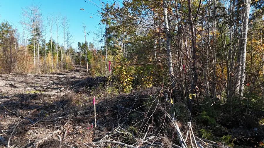 Lot 4 Long Pine Road, Woodville, ME 04457 - #2
