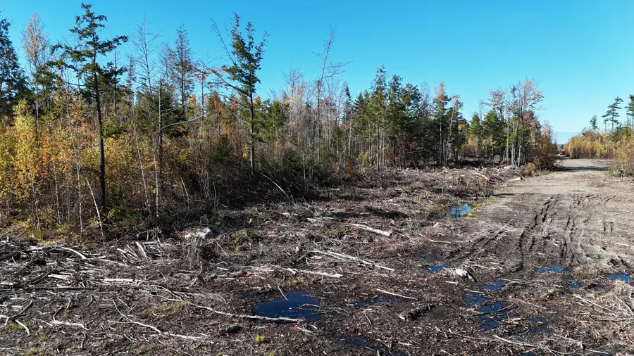 Lot 4 Long Pine Road, Woodville, ME 04457 - #3