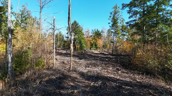 Lot 5 Long Pine Road, Woodville, ME 04457