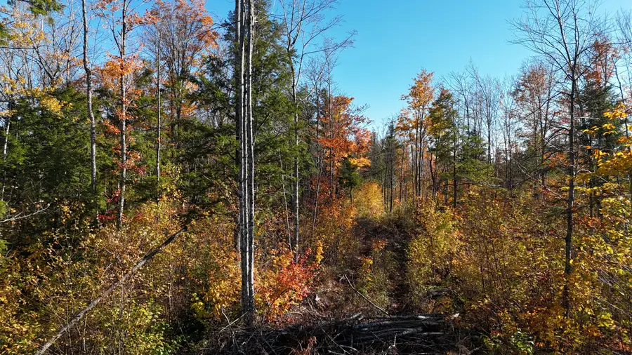 Lot 5 Long Pine Road, Woodville, ME 04457 - #2