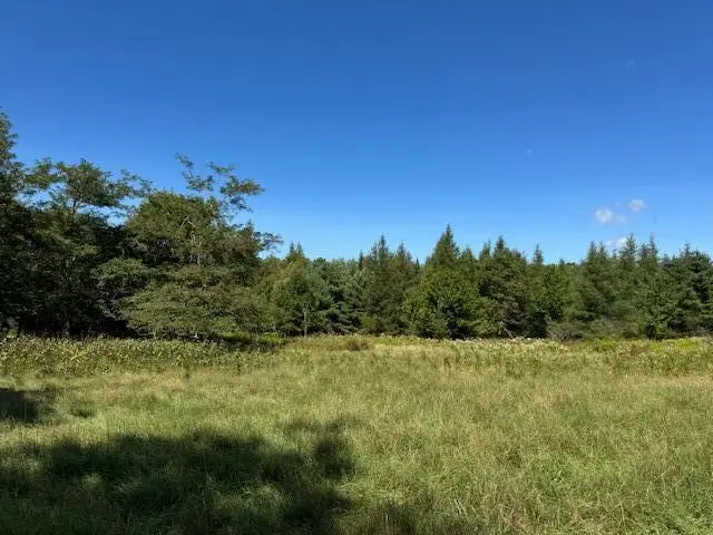 526 Castine Road, Castine, ME 04421 - #2