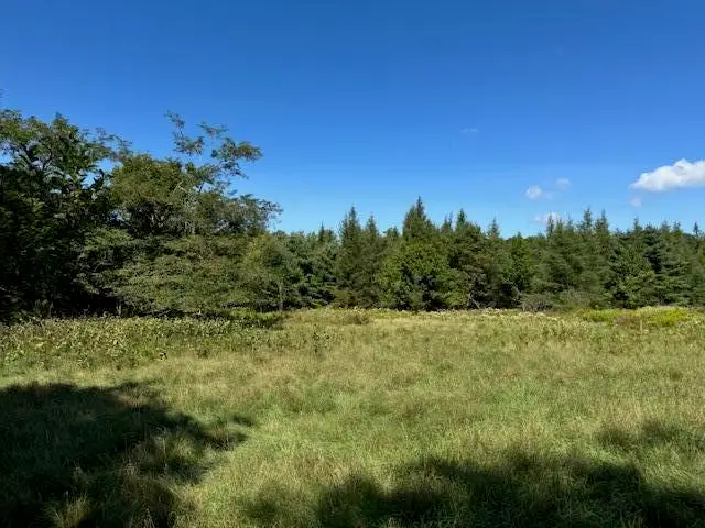 526 Castine Road, Castine, ME 04421 - #3