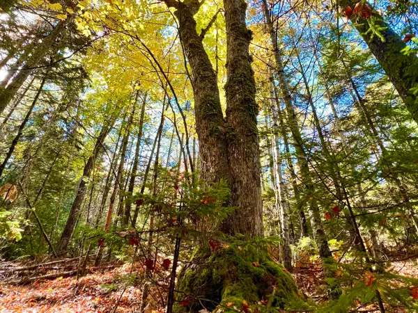 Lot #E Windsong Way, South Bristol, ME 04573