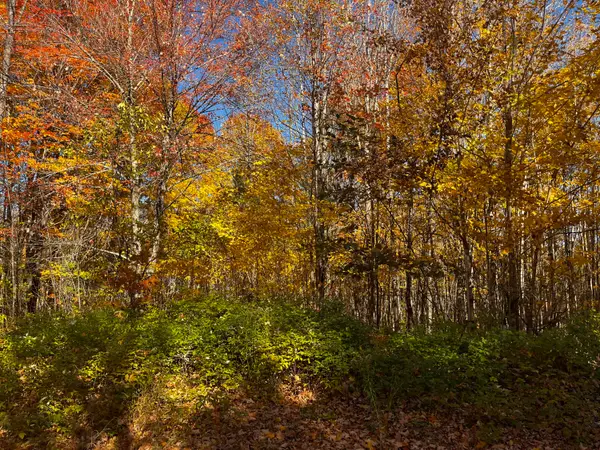18 Dawes Road, Dover-Foxcroft, ME 04426