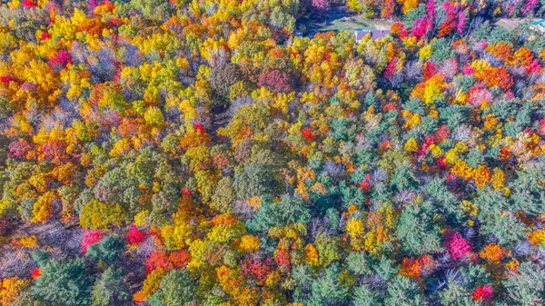 Lot 42K Taylor Lane, Harrison, ME 04040