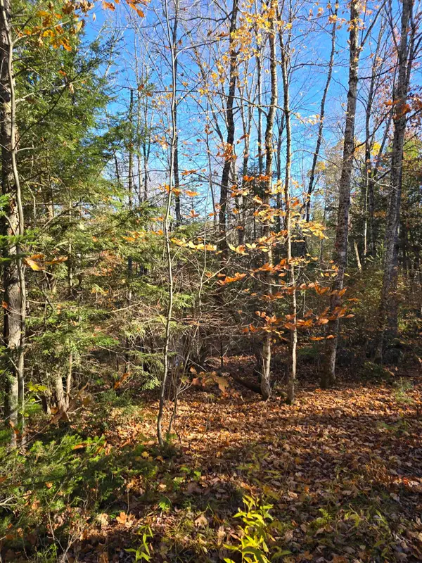 00 Wilson Road, Atkinson, ME 04426