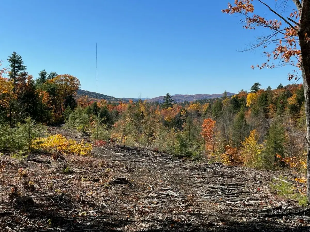 0 Dyke Mountain Road, Sebago, ME 04029 - #1