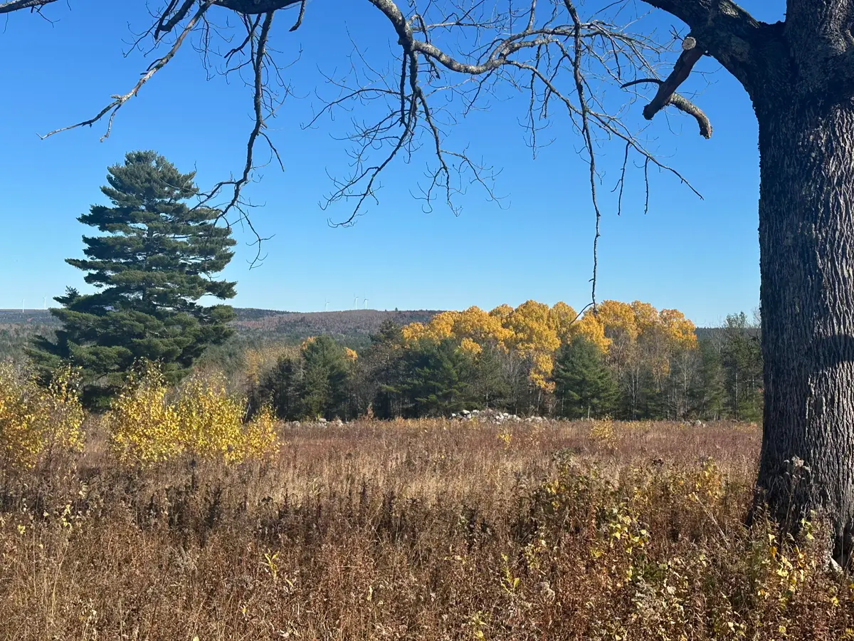 Lot 14-1 Tourtelotte Ridge Road, Mariaville, ME 04605 - #1