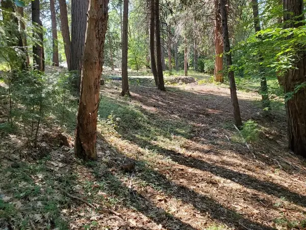 13136 Woodstock Drive, Nevada City, CA 95959