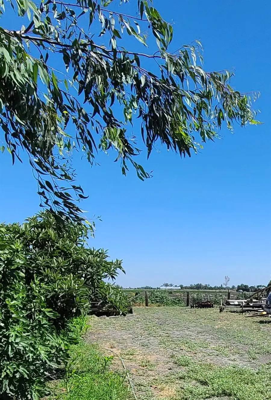 8794 Blossom Avenue, Dos Palos, CA 93620 - #2