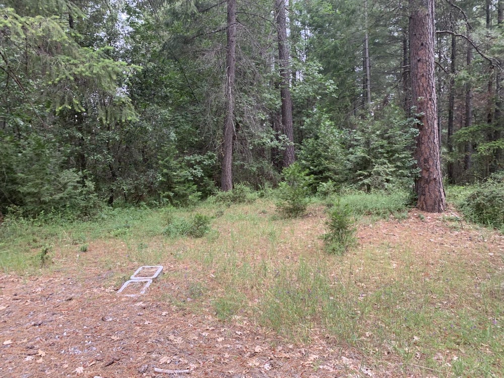 3501 AMAPOLA COURT, Pollock Pines, CA 95726 BHGRE