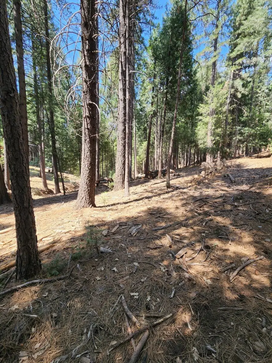 0 Juarez Road, Pollock Pines, CA 95726 - Image #2